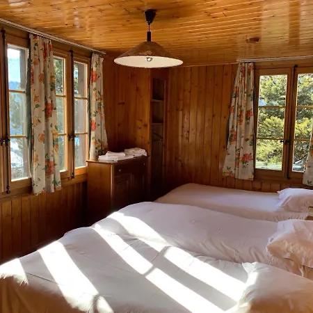 Les Touristes וורבייה