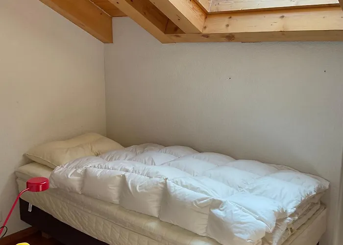 酒店 旅行者酒店